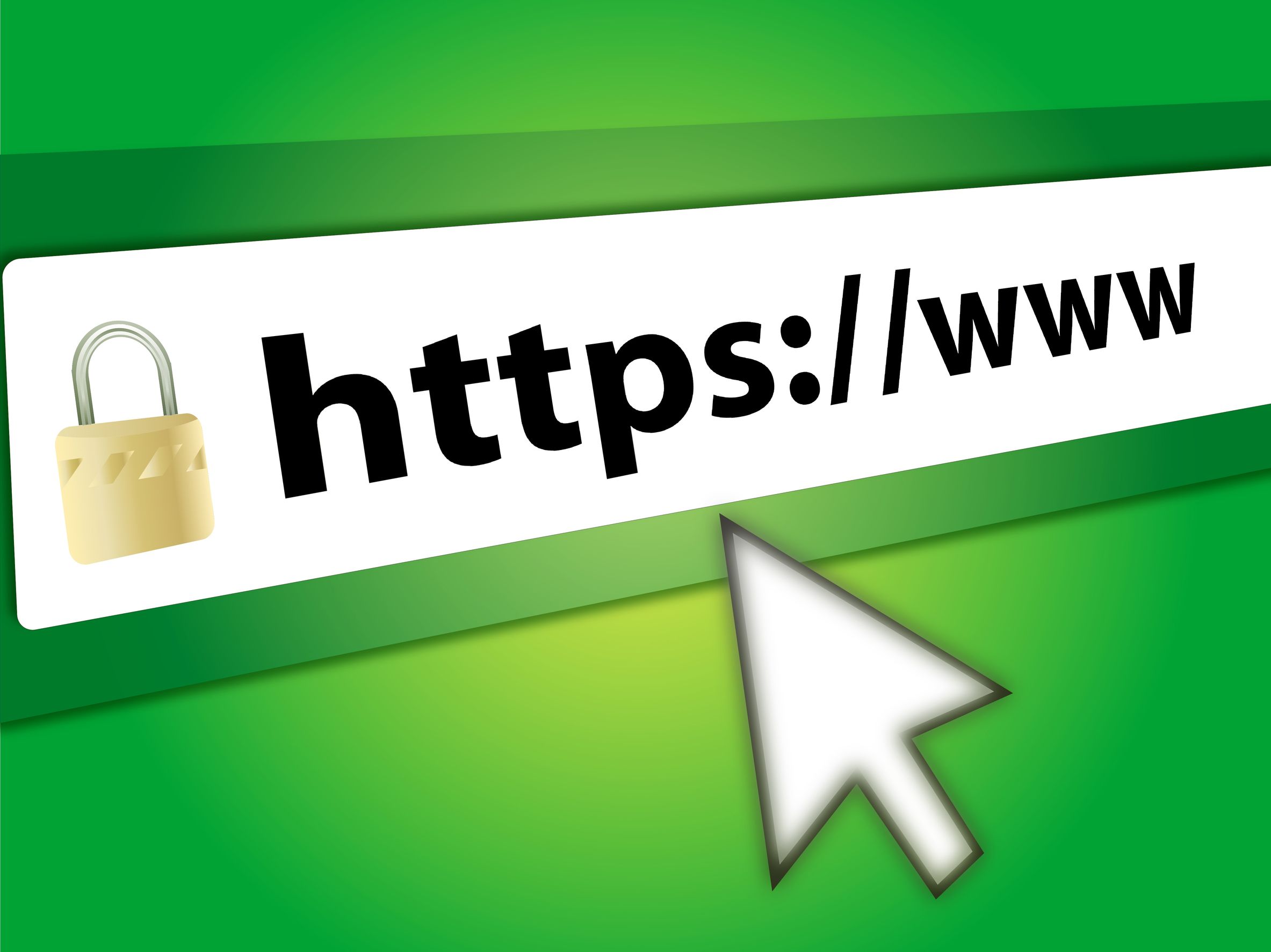 Nginx ssl let s encrypt alphacast 